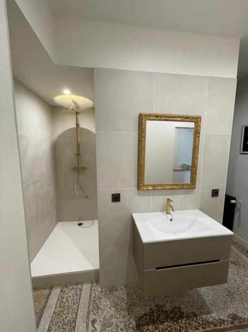 Appartement Chic Et De Caractere ! Saint-Cyr-au-Mont-d'Or Exterior photo